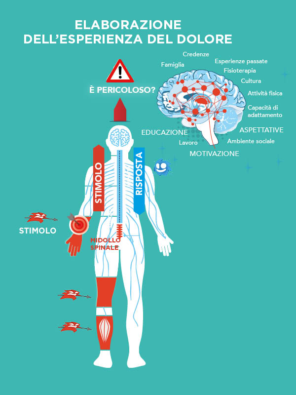 Figura 2 L’esperienza del dolore